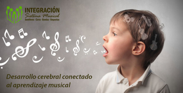 desarrollo-cerebral-aprendizaje